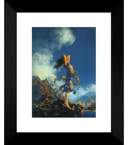 Amazon.com: The Dinky Bird 20x24 Framed Art Print by Parrish