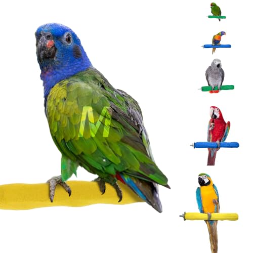 Sweet Feet and Beak Comfort Grip Perch