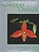 The slipper orchids by Catherine Cash