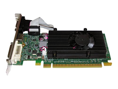 GeForce GT 610 Video-PX610GT-LX