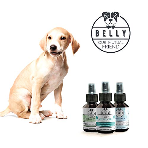 Belly Clean Ears Soothing and Cleaning Solution for Dogs I 3.38 Fl Oz I