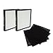 Oreck Airvantage HEPA and Carbon Replacement Filters, 1-Year Supply | WK01234QPC