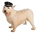 Rubie's Biker Hat Pet Costume Accessory, Small to Medium