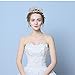 BABEYOND Crystal Rhinestone Tiara Headband Happy Birthday Girl Crown Comb Pin (Silver and Pink)