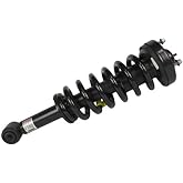 Motorcraft Strut