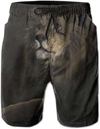 水着 メンズ サーフパンツ 海水パンツ ボードショーツ 海パン ライオン メイルオーダー キュート ビーチパンツ スイムショーツ メッシュインナー 速乾 旅行 ボーダー 水陸両用 おしゃれ人気 通気 短パン 普段着スイムウェア ビーチ