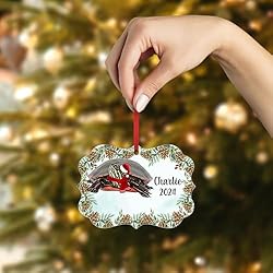 Painted Turtle Christmas Ornament 2024