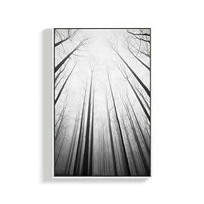 Canvas Wall Art for Living Room, Bedroom Plants Framed Canvas Prints for Home Decoration Ready to Hang - 16x24 inches