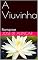 Livro A Viuvinha: Romance