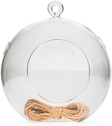 Hathaspace Air Plant Glass Terrarium (5-Inch) + BONUS Jute Rope, Glass Orb/Globe Hanging Holder for Succulents &amp; Indoor House Plants or Candles, Greenhouse Terrarium Kit Container &amp; Planter (1 Pack)