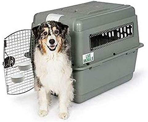 petmate sky kennel xl