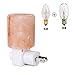 INVESCH Natural Crystal Himalayan Salt Lamp Novelty Night Lights Pink Salt Lamp Unique Plug in Wall Light