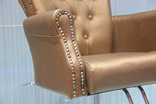 shengyu Classic Hydraulic Barber Chair Styling Salon Beauty