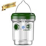 Hoont Solar Outdoor Wasp Trap Killer with UV LED Light – Traps Wasps, Yellow Jackets, Bees, Hornets, Etc. - Effectively Lures, Traps and Retains Bees Until They Die [UPGRADED]