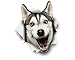 Winston & Bear 3D Dog Stickers - 2 Pack - Happy Husky for Wall, Fridge, Toilet and More - Retail Packaged Husky Wall Decals