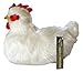 This Place is a Zoo White Plush Toy Laying Hen - 10