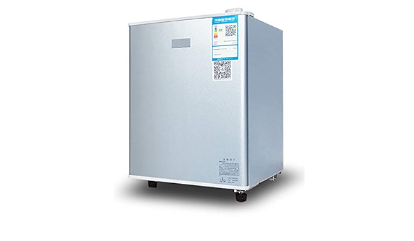 WSZGR Frigorífico Compacto,50L Gran Capacidad ...