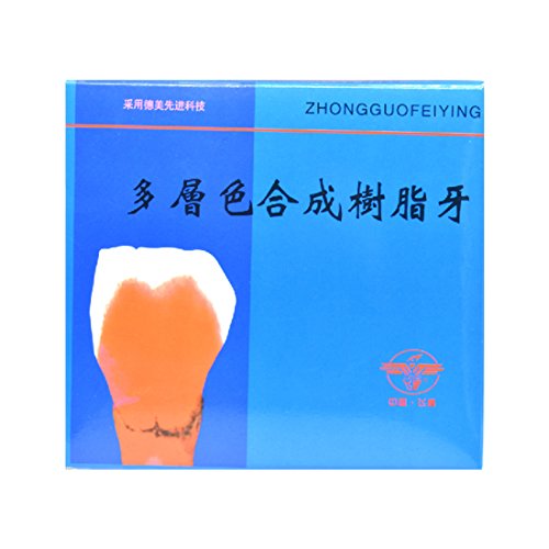 Oral Dentistry 168pcs/set Dental Complete Acrylic Resin Denture Dental Teeth Upper+Lower Shade 23 A2 Oral Care Whitening Tooth Model Dental Materials