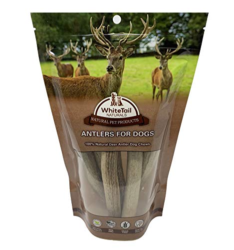 Dog Antlers For Sale WhiteTail Naturals Premium Split Red Deer