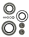 Roundup 182349 Universal Lawn and Garden Sprayer Repair Kit with O-Rings, Seals and Gaskets