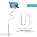 licheers Lazy Gooseneck Tablet Stand Holder, Flexible Phone Mount 360 Adjustable Tablet Desktop Bracket with 47.25in Long Arm Compatible with iPad Mini 1/2/3 9.7 iPhonex/8/8Plus Samsungs9(White)