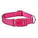 Zack & Zoey 10 to 16-Inch Nylon Dog Neck Collar, Raspberry Sorbet