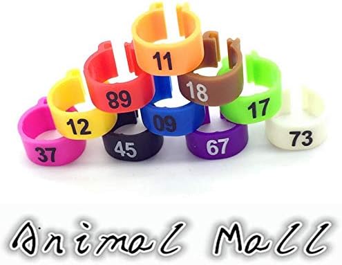 VistorHies - 1000 Pcs Card Ring 10 Colors Digital Foot Ring Carrier Pigeon Racing Pigeons Parrot Pet Bird Supplies