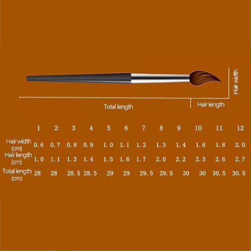 MHGLOVES Künstlerpinsel Pinsel-Set, 12 Stück Filbert Pinsel Set, Katzenzungenpinsel Zungenpinsel Set for Acrylic Oil Gouache and Watercolor Paints – Bild 3