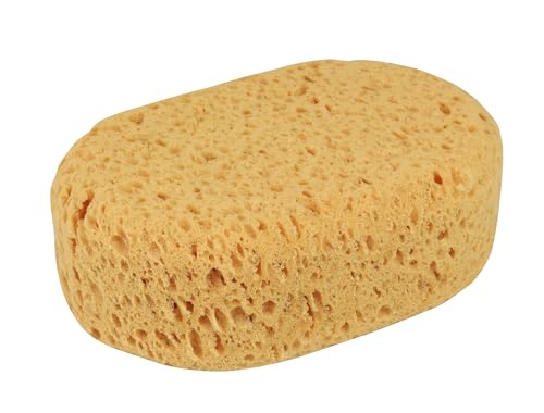 Car sponge "Natura"