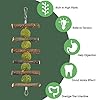 ERKOON-Rabbit-Toys-Hamster-Small-Animals-Treats-Bunny-Chinchilla-Chew-Toy-for-Teeth-Natural-Apple-Wood-Sticks-Boredom-Breaker-for-Guinea-Pigs-Chinchillas-Gerbils-Molar ERKOON Rabbit Toys, Hamster Small Animals Treats Bunny Chinchilla Chew Toy for Teeth Natural Apple Wood Sticks Boredom…