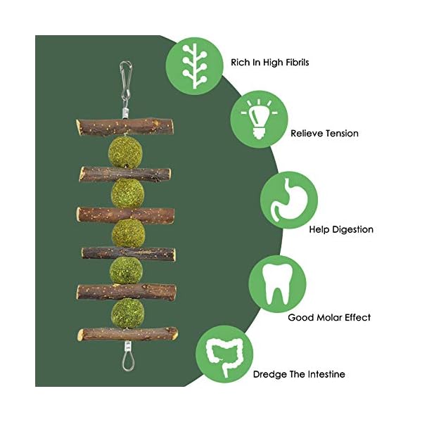 ERKOON-Rabbit-Toys-Hamster-Small-Animals-Treats-Bunny-Chinchilla-Chew-Toy-for-Teeth-Natural-Apple-Wood-Sticks-Boredom-Breaker-for-Guinea-Pigs-Chinchillas-Gerbils-Molar ERKOON Rabbit Toys, Hamster Small Animals Treats Bunny Chinchilla Chew Toy for Teeth Natural Apple Wood Sticks Boredom…