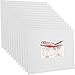 US Art Supply 10 X 10 inch Professional Artist Quality Acid Free Canvas Panel Boards for Painting 12-Pack (1 Full Case of 12 Single Canvas Board Panels)