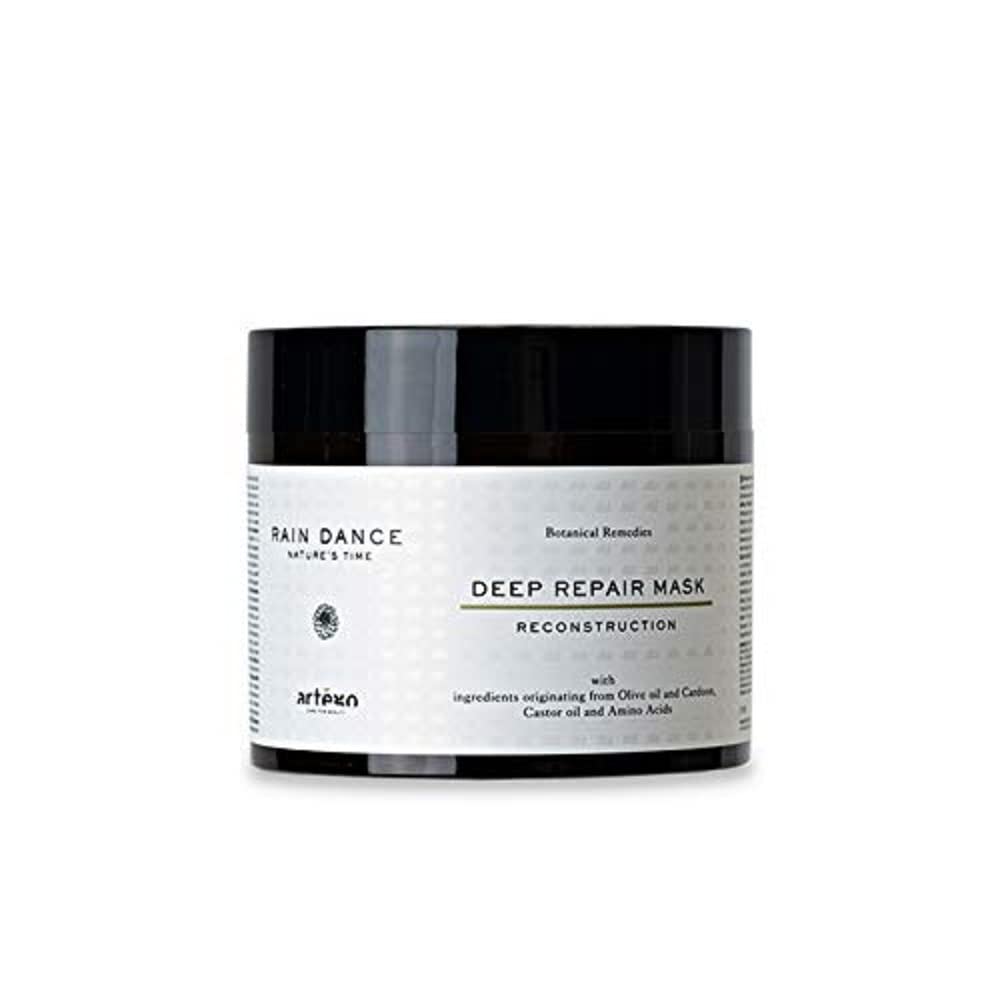 Artego Rain Dance Deep Repair Reconstruction Mask, 500ml