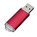 RAOYI 10PCS 1G USB Flash Drive USB 2.0 Memory Stick Bulk Thumb Drive Pen Drive Jump Drive-Red