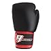 Revgear Deluxe Boxing Gloves (Red, 12-Ounce)