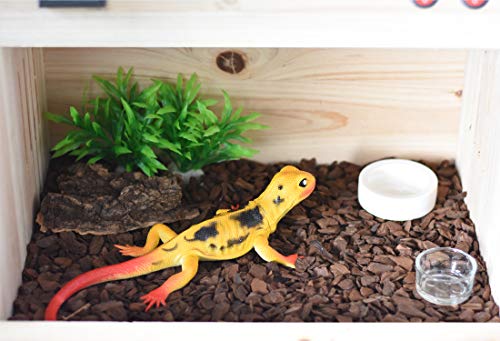 6 OMEM+Worm+Dish+Reptile+Ceramics