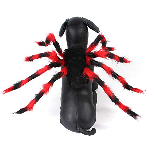 Ollypet Halloween Spider Costume Cat Dog Funny Decor Accessory Adjustable Velcro for Small Medium Large Pet Trendy Party Dress Metal Wire Spider Outfit (L)