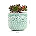 SUN-E 2.75 Inch Ceramic Owl Pattern Succulent Cactus Plant Pots Flower Pots Planters Containers Window Boxes Bonsai Pots Perfect for Candle Holder with Small Hole 6 Colors in Set