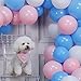 PartyWoo Blue Pink Balloons - 100pcs, 10in, Gender Reveal, Pink & Blue, Baby Shower