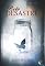 Livro Belo desastre - Belo desastre - vol. 1