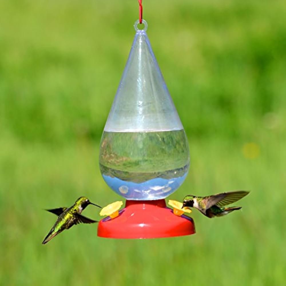 PerkyPet Dew Drop 32 Ounce Plastic Hummingbird Feeder 273 Bird Feeders Garden eBay