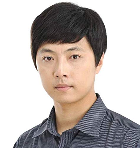 Natural Fluffy Middle Aged Men Wig Short Straight Hair Toupee