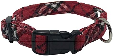 burberry dog collar amazon