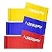 URBNFit Long Fitness Bands (5 Ft) w/Door Anchor - 3 Pack of Resistance Bands for Stretching, Workouts, Rehabilitation