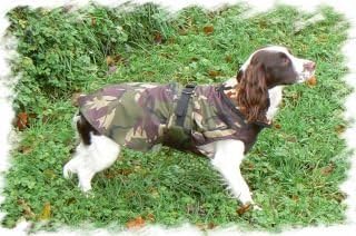 springer spaniel waterproof coat