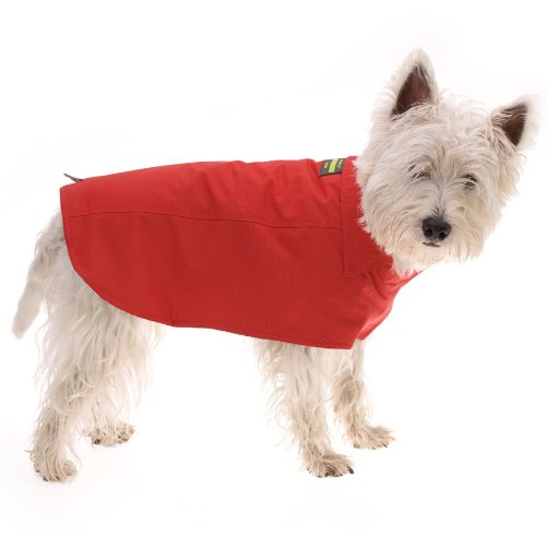 HamishMcBeth MOP-L1 Leather Dog Leash to Match Moet Collar, Small