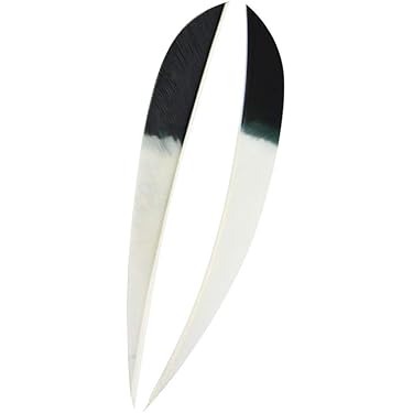 50pcs tir à l'arc Spin aubes 1.56/1.75 pouces spirale plume aile