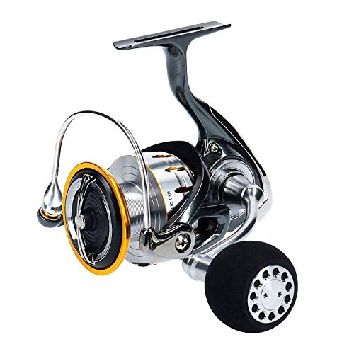 DAIWA ブラストLT5000D-CXH Daiwa 18 BLAST LT5000D-CXH Spinning Reel New in Box | eBay