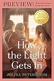 How the Light Gets In PREVIEW: Selected Scenes from the Novel by Jolina Petersheim