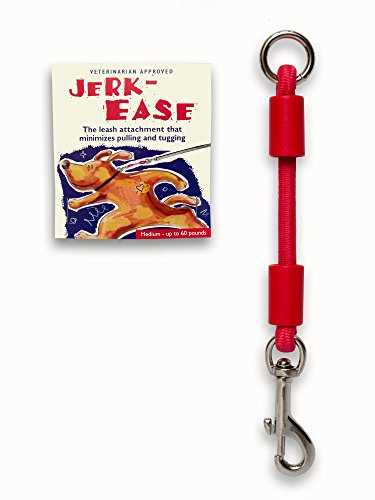 Jerk-Ease Bungee Dog Leash Extension - Medium Red